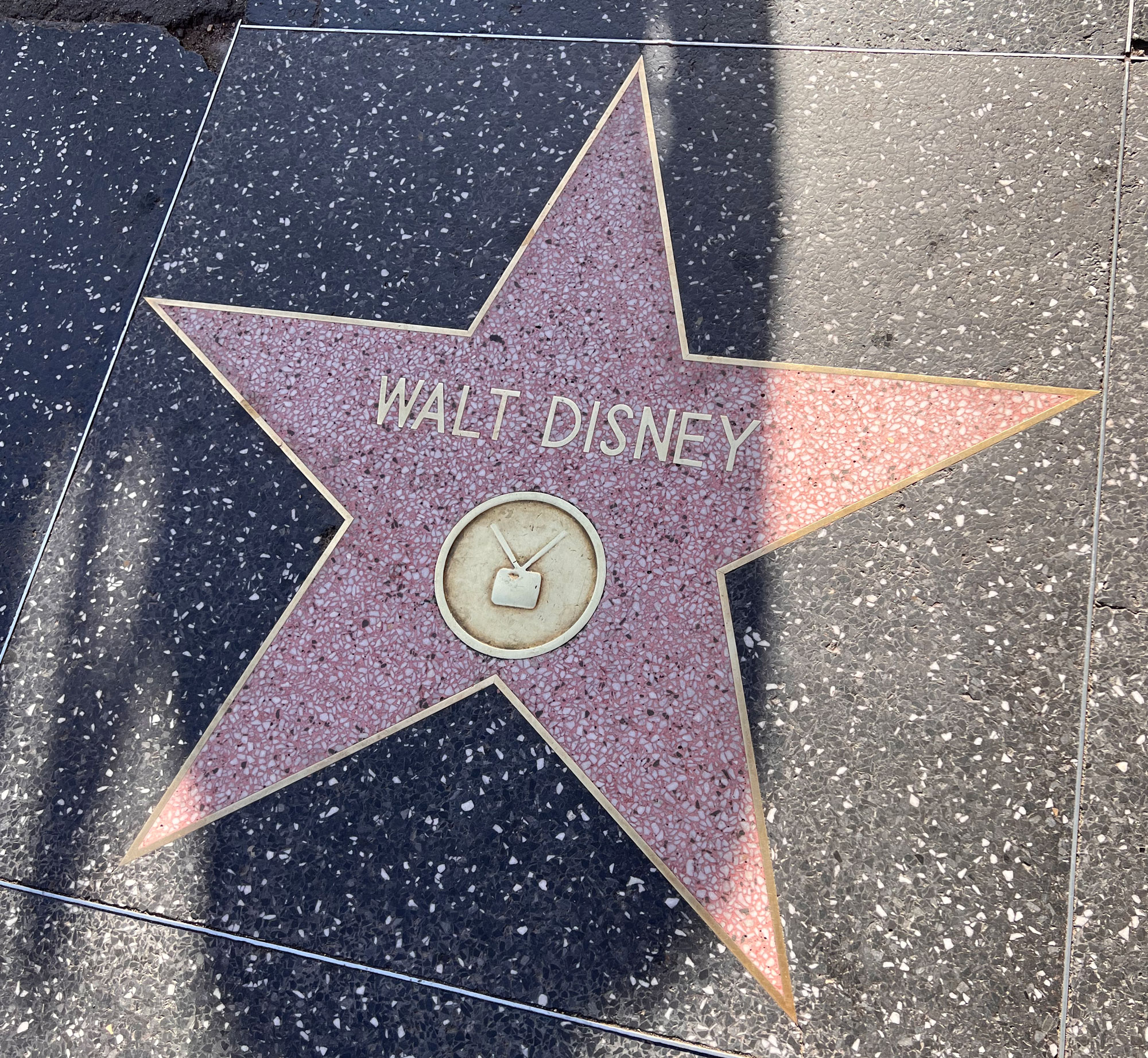 Walt Disney's Star on Hollywood Blvd.