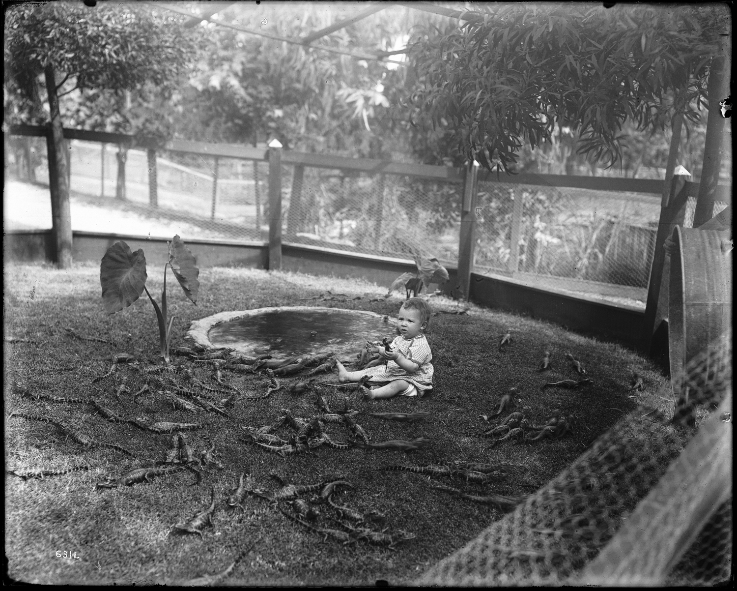 Baby with Alligators at Alligator Farm