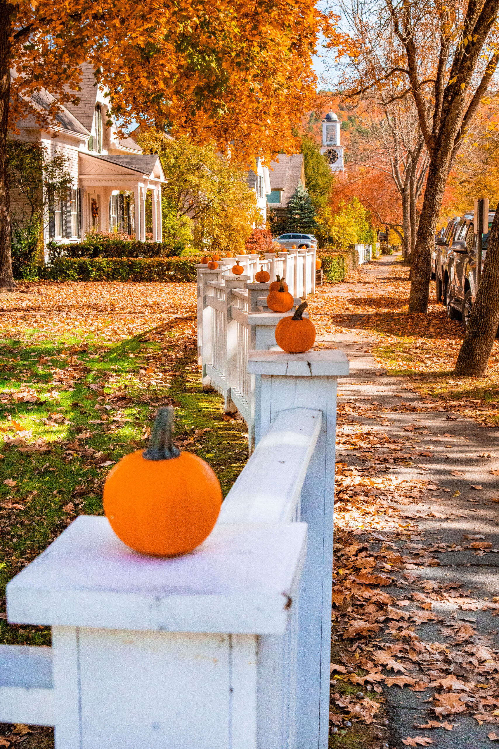 Fall Foliage Woodstock, Vermont