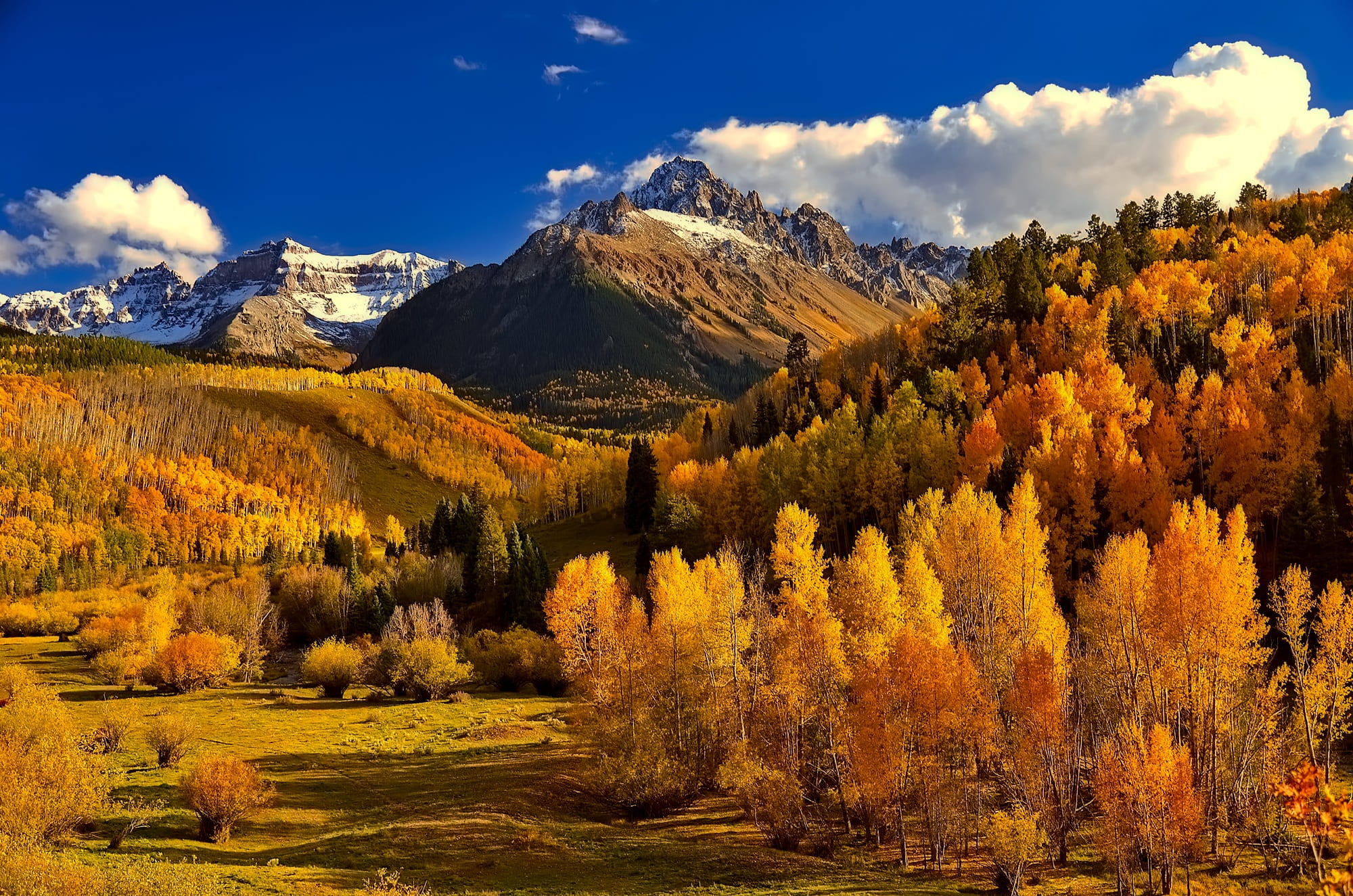 Colorado Autumn Foliage