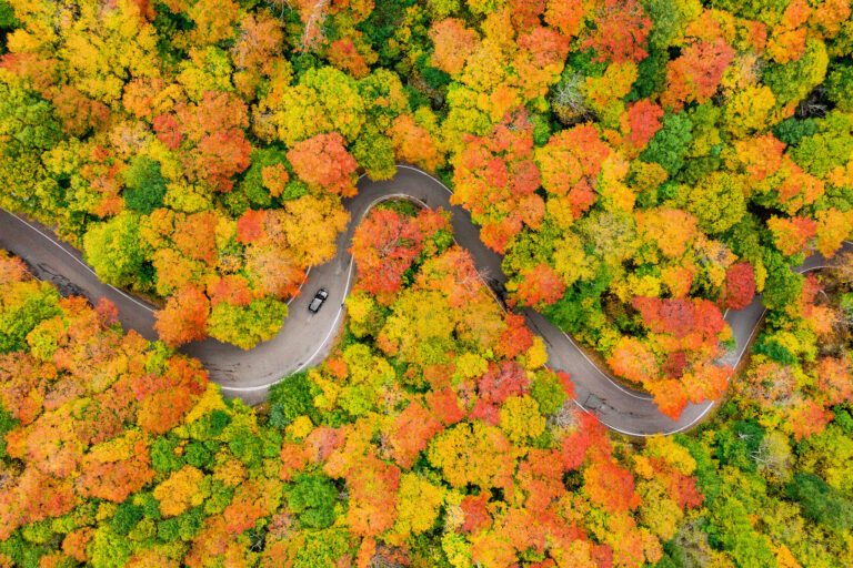 Where To See The Most Beautiful Fall Foliage